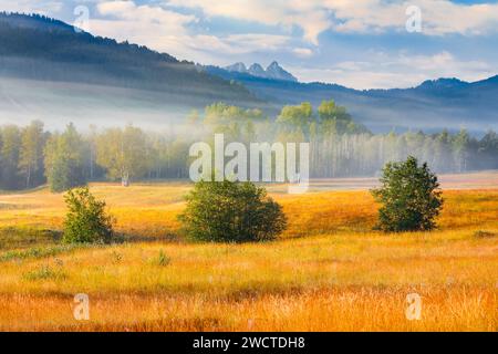 Blick über das herbstliche Hochmoor Rothenthurm mit den Mythen Bergspitzen im Hintergrund, Kanton Schyz, Schweiz Stockfoto