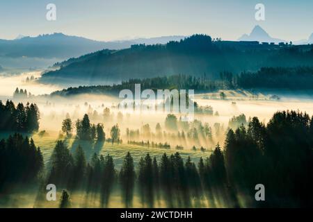 Blick über das Hochmoor Rothenthurm im Kanton Schyz, Schweiz Stockfoto