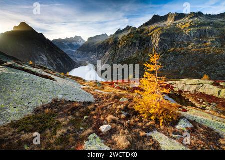 Schweizer Alpen im Herbst, Grimselsee und Lauteraarhorn, Bern, Schweiz Stockfoto