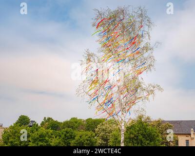 Frühlingsreise nach Europa. Hohe Birke im Zentrum von Erfurt mit bunten Bändern verziert. Mai Volksfest Maypole oder Maibaum Stockfoto