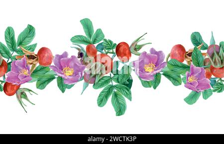 Hüftrose, Beeren und Blumen, nahtloser Rand. Vektorabbildung im Grafikstil. Karten, Einladungen, Frühlingsbanner, Verpackungen, Briefe, Etiketten. Stock Vektor