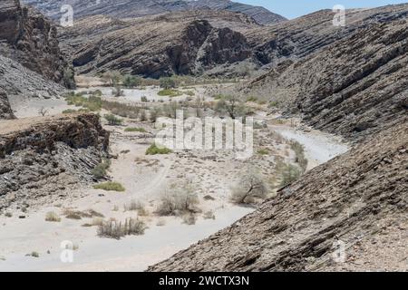 Luftlandschaft mit Bäumen im trockenen Kuiseb-Flussbett in der Wüste Naukluft, aufgenommen im hellen Licht des späten Frühlings vom Kuiseb Pass Aussichtspunkt, Namibia, Afrika Stockfoto