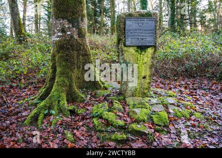 Gedenktafel zum Gedenken an die ersten Bäume, die von der Forstkommission gepflanzt wurden, 8. Dezember 1919 in Flashdown Plantation, Eggesford Forest, Devon, UK. Stockfoto