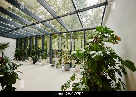 Innenfoto eines modernen, leeren Konferenzraums mit vielen grünen, frischen Pflanzen in Töpfen Stockfoto