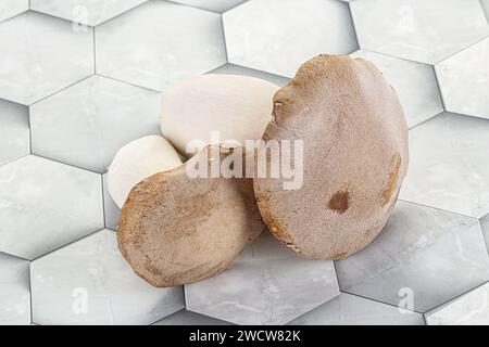 Zwei rohe Eringi-Pilze zum Kochen Stockfoto