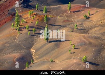 Fantastische Lavastrom aus Schlackenkegel, Lassen Volcanic Nationalpark, Kalifornien Stockfoto