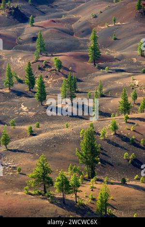 Fantastische Lavastrom aus Schlackenkegel, Lassen Volcanic Nationalpark, Kalifornien Stockfoto