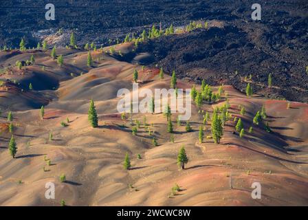 Fantastische Lavastrom aus Schlackenkegel, Lassen Volcanic Nationalpark, Kalifornien Stockfoto