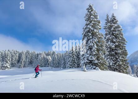 Schöne und aktive Seniorenwanderin mit Schneeschuhen im Tiefschnee im Hochhaedrich-Gebiet des Bregenzer Waldes in Vorarlberg, Österreich Stockfoto