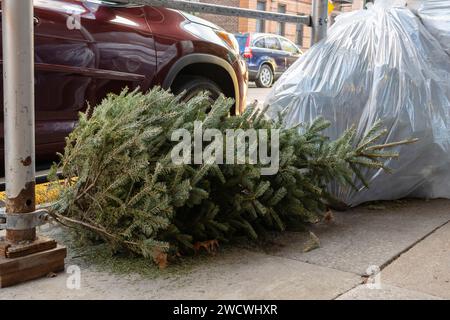 Ein entsorgter weihnachtsbaum, der auf einer Straßenkante liegt und mit dem Müll abgeholt wird Stockfoto