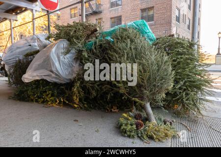 Ein Haufen toter weihnachtsbäume und ein weggeworfener weihnachtskranz an einer Straßenecke warten darauf, als Müll aufgefangen zu werden Stockfoto