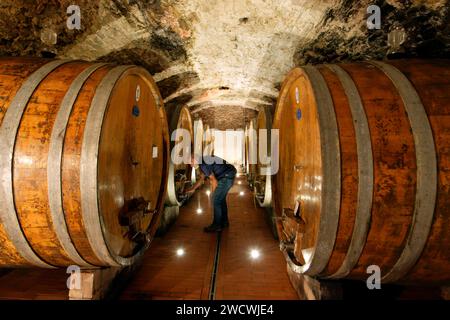 Italien, Toskana, Chianti Weinregion, Radda in Chianti, Castello di Volpaia, Höhle à vin Stockfoto