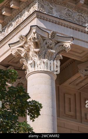 Frankreich, Paris, Quai d'Orsay, von der UNESCO zum Weltkulturerbe erklärt, Bourbon-Palast, Sitz der französischen Nationalversammlung, Hauptstadt einer der Säulen Stockfoto