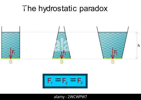 Die graphische Darstellung des hydrostatischen Paradoxons an drei Gefäßen mit einer Flüssigkeit unterschiedlicher Form und unterschiedlicher Volumina, der hydrostatischen Kompression Stock Vektor