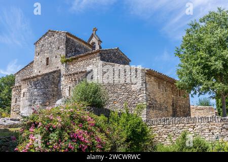 Frankreich, Vaucluse, regionaler Naturpark Luberon, Saint Pantaléon, Kirche aus dem 12. Jahrhundert Stockfoto