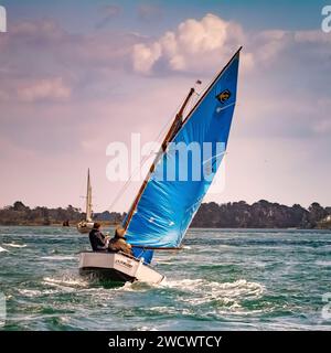 Frankreich, Morbihan, Golf von Morbihan, La Rieuse, Guepard Sloup houari von Navigator Eugene Riguidel, Golf Week 2023 Ausgabe Stockfoto