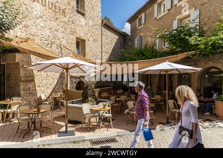 Frankreich, Vaucluse, Lourmarin, bezeichnet die schönsten Dörfer Frankreichs, Terrasse des Restaurants le Moulin Stockfoto