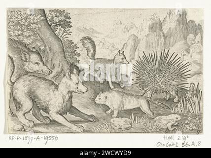 Wildschweine, Füchse, Biber, Stachelschweine und Frösche, Nicolaes de Bruyn, 1621 Druckerei: Niederlande: Amsterdam Papierstich Huftiere: Eber. Raubtiere, Raubtiere: fuchs. Nagetiere: biber. Andere Säugetiere: stachelschwein. Andere Säugetiere: stachelschwein Stockfoto