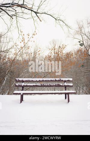 Mit Schnee bedeckte Bank im gefrorenen Wald. Leere Bank im schneebedeckten Park. Winterwetter. Holzbank im Park bei Schneefall. Friedliche Winterlandschaft. Stockfoto