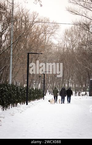 Leute, die mit Hunden im Schneesturm laufen. Winter im Park. Gefrorene Gasse im Schnee, Kiew, Ukraine. Kaltes, schneebedecktes Wetter. Idyllische Winterlandschaft. Stockfoto