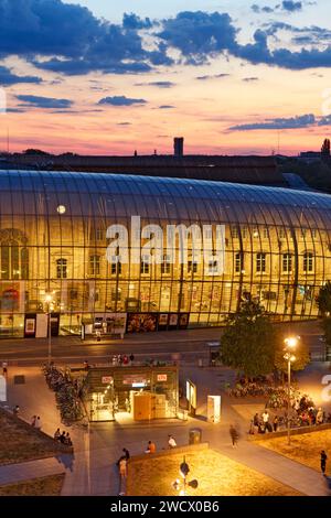 Frankreich, Bas Rhin, Straßburg, Hauptbahnhof und Glasdach des Architekten Jean-Marie Duthilleul vom Architekturbüro Arep Stockfoto