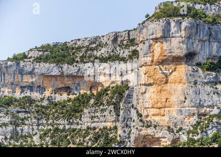 Frankreich, Vaucluse, regionaler Naturpark Mont Ventoux, Monieux, Gorges de La Nesque, Flug in der Nähe der Klippe des Rocher de Cire (853 m) Stockfoto