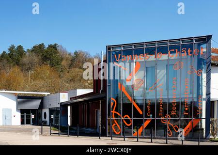 Frankreich, Meurthe et Moselle, Vannes le Chatel, das Europäische Zentrum für Forschung und Ausbildung in Glaskunst (CERFAV), das einzige französische Zentrum, das alle Glasspezialitäten an einem Ort anbietet, die „Gesten-Glasmacher“ sind zum UNESCO-Weltkulturerbe erklärt Stockfoto