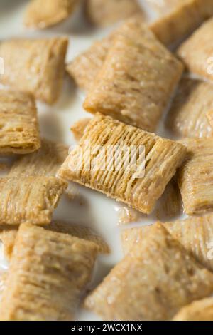 Gesunde Weizen Quadrate Frühstück Müsli mit Vollmilch Stockfoto