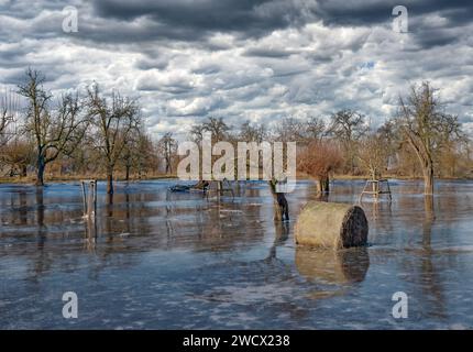 Eisflut am Rhein, Naturschutzgebiet Urdenbacher Kaempe, Düsseldorf, Deutschland Stockfoto