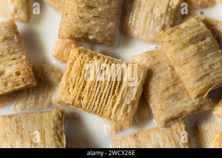 Gesunde Weizen Quadrate Frühstück Müsli mit Vollmilch Stockfoto