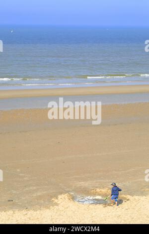 Frankreich, Nord, Umgebung von Dünkirchen, Zuydcoote, Strandwild am Rande der Nordsee Stockfoto