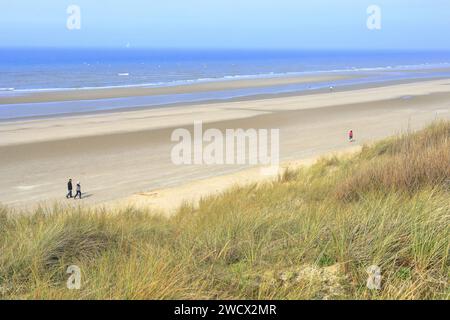 Frankreich, Nord, Umgebung von Dünkirchen, Zuydcoote, spazieren Sie am Strand entlang der Dünen und Oyats am Rand der Nordsee Stockfoto