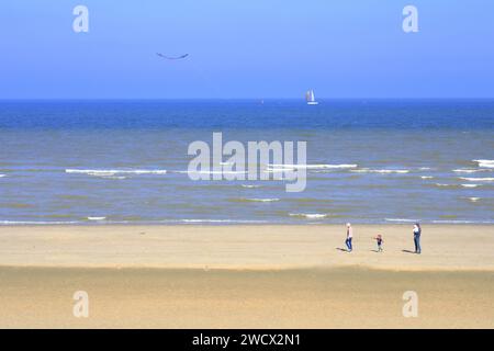 Frankreich, Nord, Umgebung von Dünkirchen, Zuydcoote, Drachen fliegen am Strand am Rande der Nordsee Stockfoto