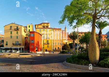Frankreich, Alpes Maritimes, Cote d'Azur, Menton, Altstadt, die von der Basilika Saint Michel Archange dominiert wird Place Fontana (Fontana-Platz) Stockfoto