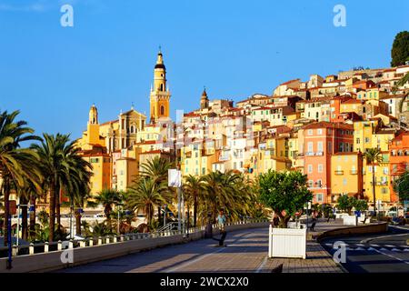 Frankreich, Alpes Maritimes, Cote d'Azur, Menton, die Altstadt, die von der Basilika Saint Michel Archange dominiert wird Stockfoto