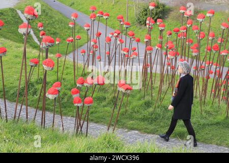 Frankreich, Nord, Dunkirk, Skulpturengarten des LAAC (Lieu d'Art et Action Contemporaine), Außenarbeiten der Künstler Steve Abraham und Nicolas Messager, die Mohnblumen aus Beton und Schrott darstellen Stockfoto