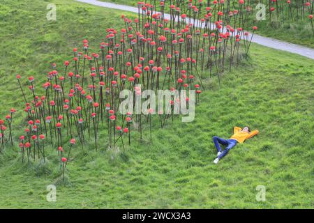 Frankreich, Nord, Dunkirk, Skulpturengarten des LAAC (Lieu d'Art et Action Contemporaine), Entspannung auf dem Gras neben einer Außenarbeit, die Mohnblumen aus Beton und Schrott von den lokalen Künstlern Steve Abraham und Nicolas Messager darstellt Stockfoto