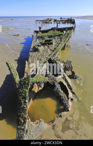 Frankreich, Nord, Umgebung von Dünkirchen, Bray-Dunes, Devonia Wrack (englischer Minensucher, der 1940 an der Operation Dynamo teilnahm) Stockfoto