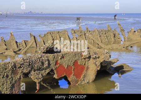 Frankreich, Nord, Umgebung von Dünkirchen, Bray-Dunes, Wrack des Schattenadlers (englisches Dampfschiff, das 1940 an der Operation Dynamo teilnahm) an der Nordsee Stockfoto