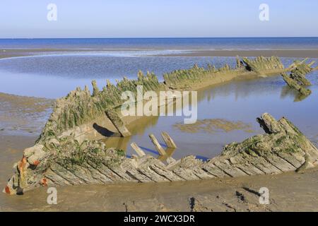 Frankreich, Nord, Umgebung von Dünkirchen, Bray-Dunes, Wrack der „Vonette“ (Dreimastschoner aus dem Jahr 1921, der nach einem Sturm im Jahr 1929 abgelegt wurde) Stockfoto