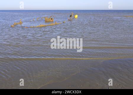 Frankreich, Nord, Umgebung von Dünkirchen, Zuydcoote, Wrack eines Bootes, das 1940 an der Operation Dynamo teilnahm Stockfoto