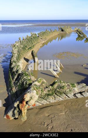 Frankreich, Nord, Umgebung von Dünkirchen, Bray-Dunes, Wrack der „Vonette“ (Dreimastschoner aus dem Jahr 1921, der nach einem Sturm im Jahr 1929 abgelegt wurde) Stockfoto