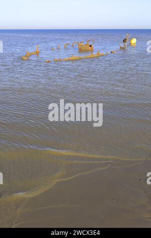 Frankreich, Nord, Umgebung von Dünkirchen, Zuydcoote, Wrack eines Bootes, das 1940 an der Operation Dynamo teilnahm Stockfoto