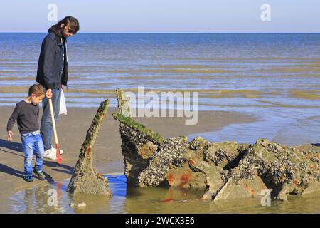 Frankreich, Nord, Umgebung von Dünkirchen, Bray-Dunes, Devonia Wrack (englischer Minensucher, der 1940 an der Operation Dynamo teilnahm) Stockfoto