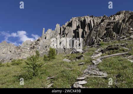 Frankreich, Isere (38), Valbonnais, Valjouffrey, Les Orgues de Valsenestre, Wandern im Herzen des Nationalparks Ecrins, auf dem Aufstieg zum Pass Cote Belle (alt: 2290 m) Stockfoto