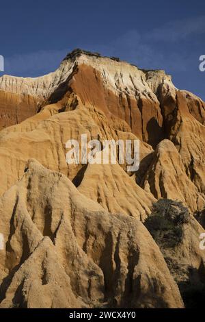 Portugal, Alentejo, Gale Fontainhas Beach, ockerfarbene, fossile Klippen, die fünf Millionen Jahre alt sind Stockfoto