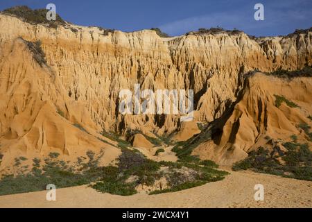 Portugal, Alentejo, Gale Fontainhas Beach, ockerfarbene, fossile Klippen, die fünf Millionen Jahre alt sind Stockfoto