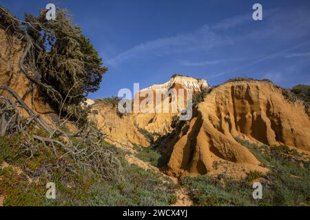 Portugal, Alentejo, Gale Fontainhas Beach, ockerfarbene, fossile Klippen, die fünf Millionen Jahre alt sind Stockfoto