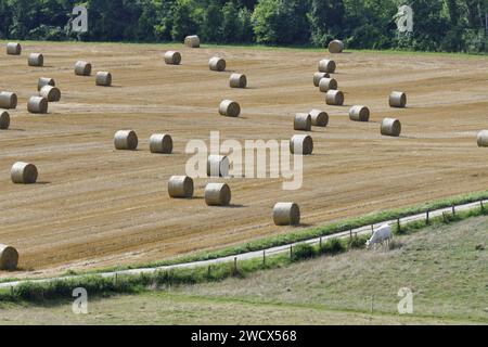 Frankreich, Doubs, landwirtschaftliche Landschaft, Strohballen Stockfoto