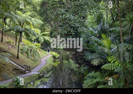 Portugal, Azoren Archipel, Sao Miguel Insel, Furnas, Frau, die auf einem von Farnen gesäumten Weg entlang eines Sees im Terra Nostra Park spaziert Stockfoto